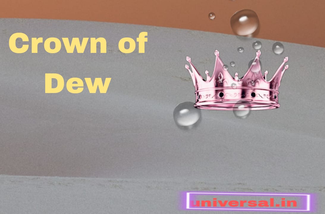 Story of Crown of Dew in Marathi