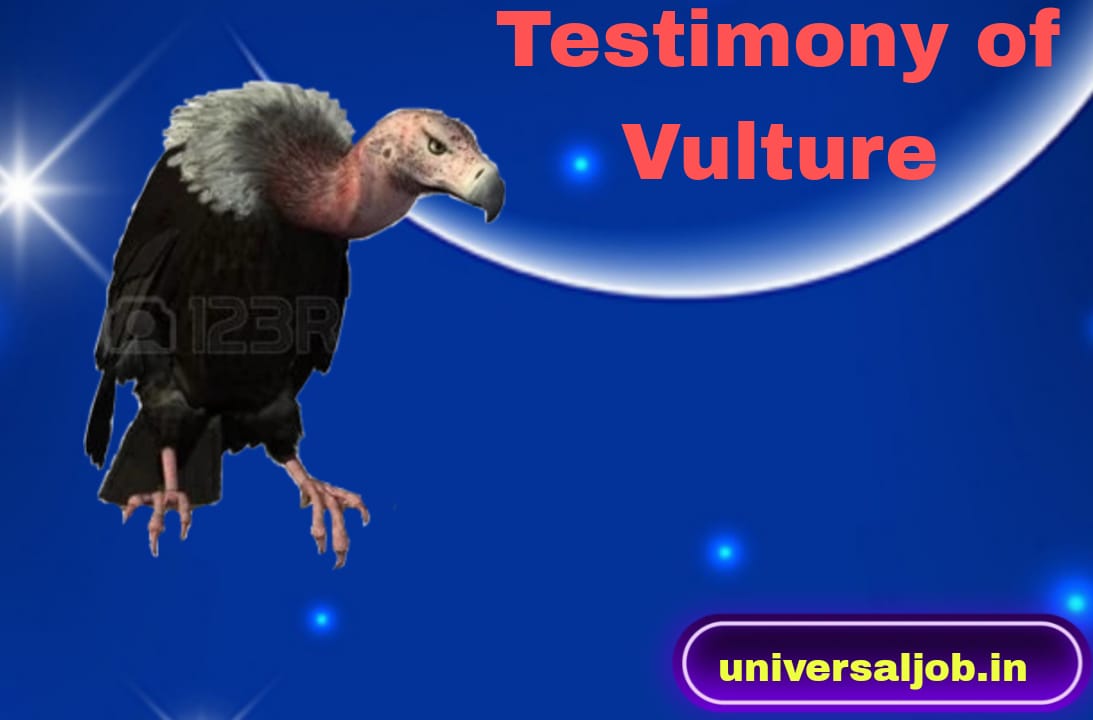 Story of Testimony of The Vulture in Marathi