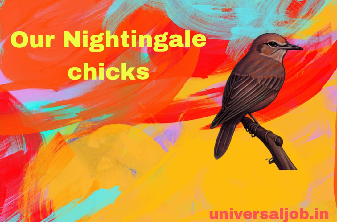 Story of Our Nightingale Chicks in Marathi