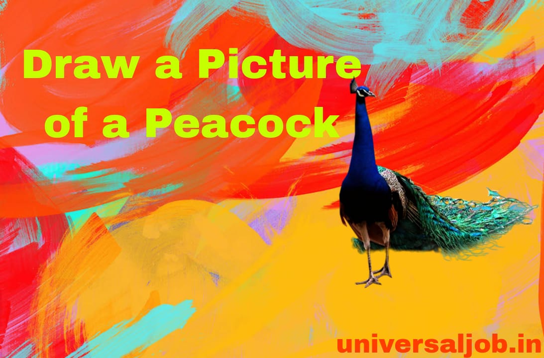 Story of Draw a Picture of a Peacock in Marathi