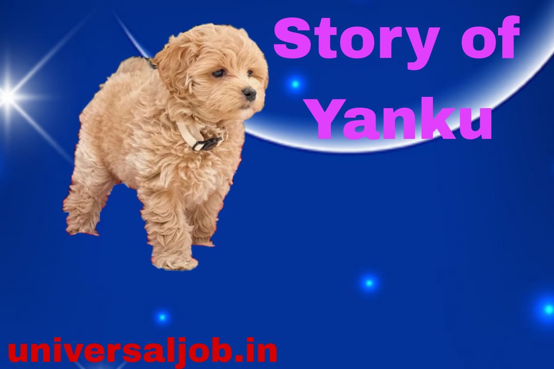 Story of Yanku